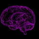 For both young and old, a traumatic brain injury seems to raise the risk of dementia.